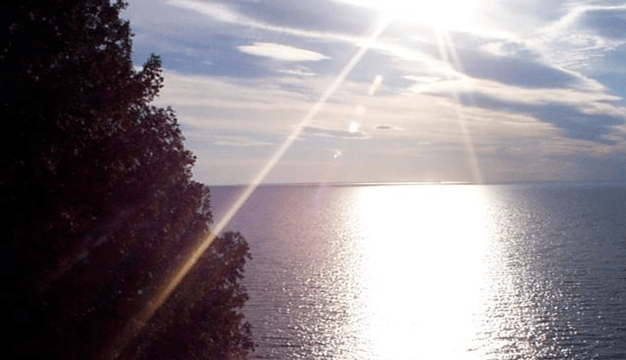 Thank You For&nbsp;Entering